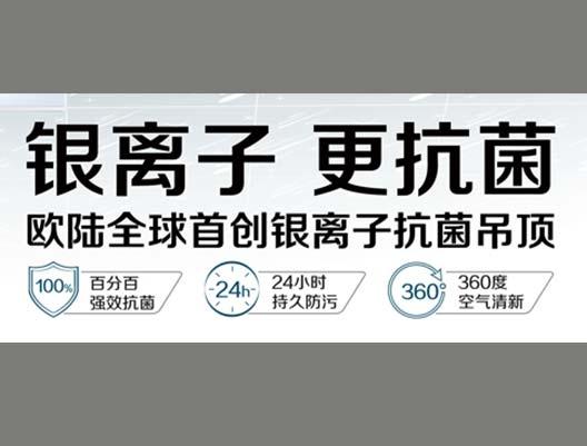 欧陆银离子抗菌吊顶，为您营造健康生活空间