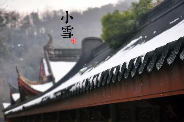 小雪来了，这个寒冬你必定少不了它
