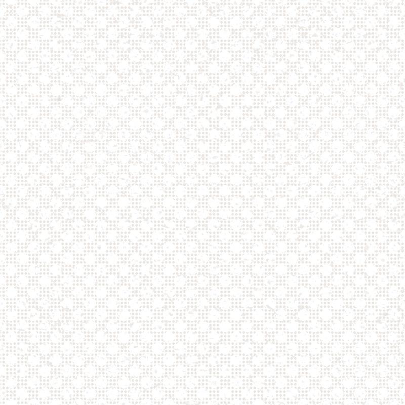 心素300×300--800.jpg